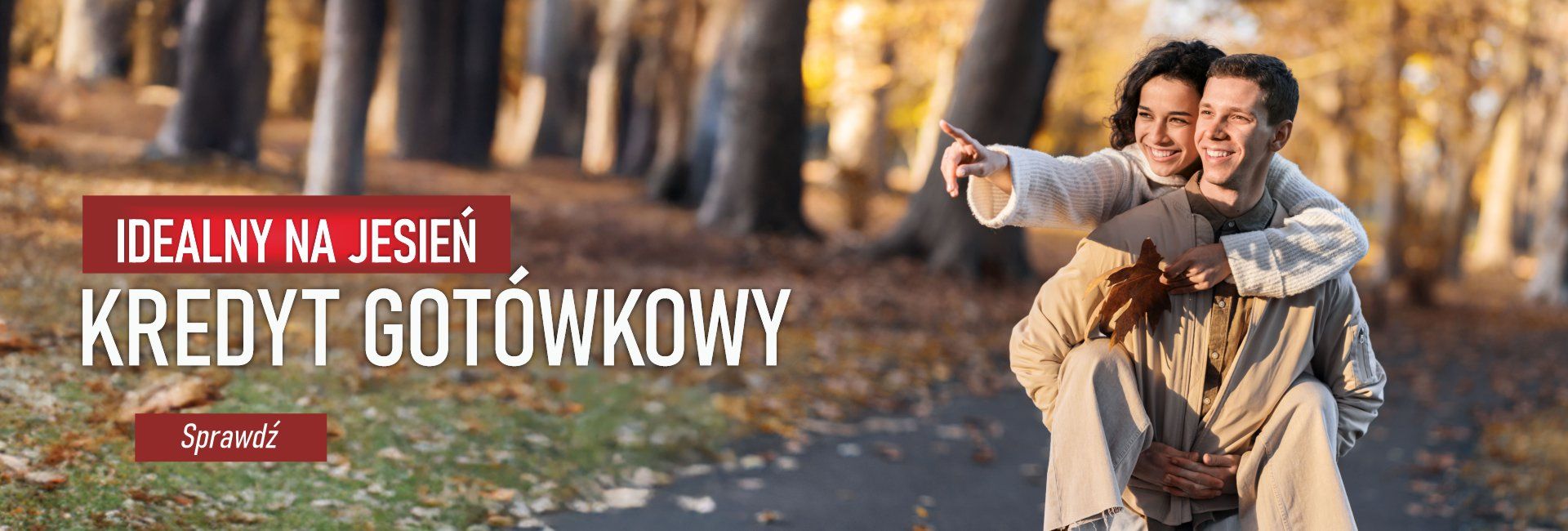 kredyt gotówkowy - standard