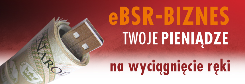 eBSR Biznes