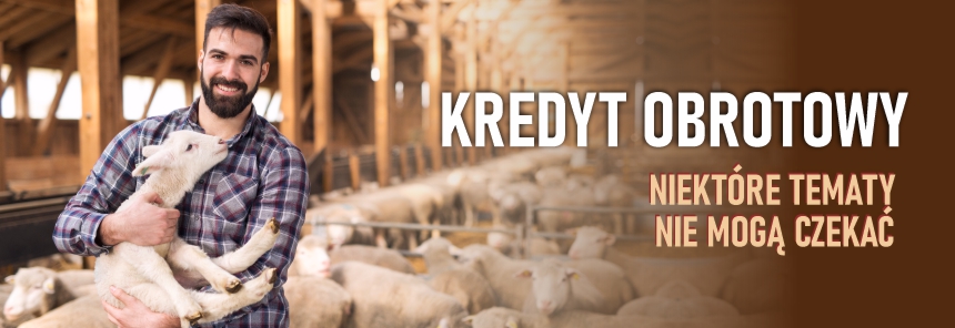 Kredyt obrotowy